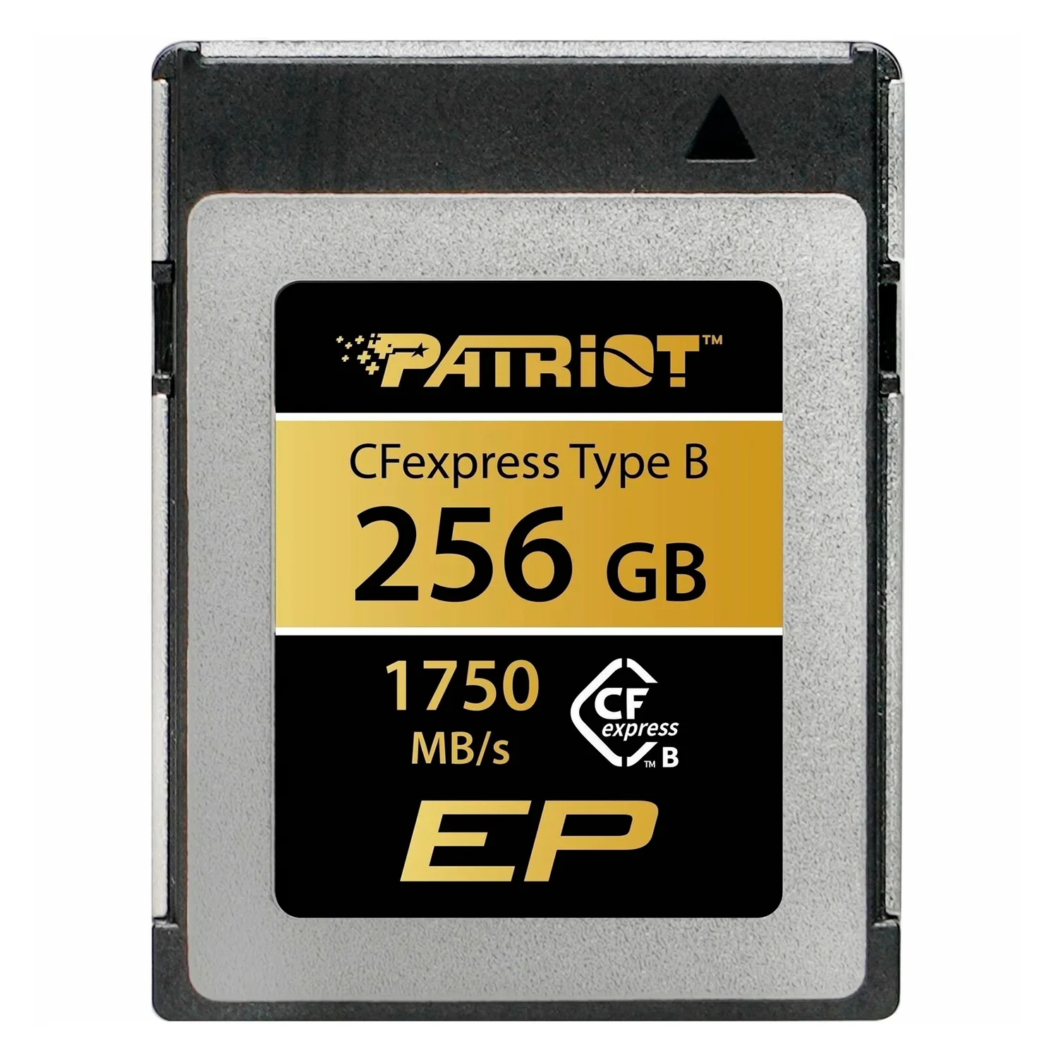 Cartão de Memória Patriot 256GB 1750 Mb/s - PEF256GEPAB
