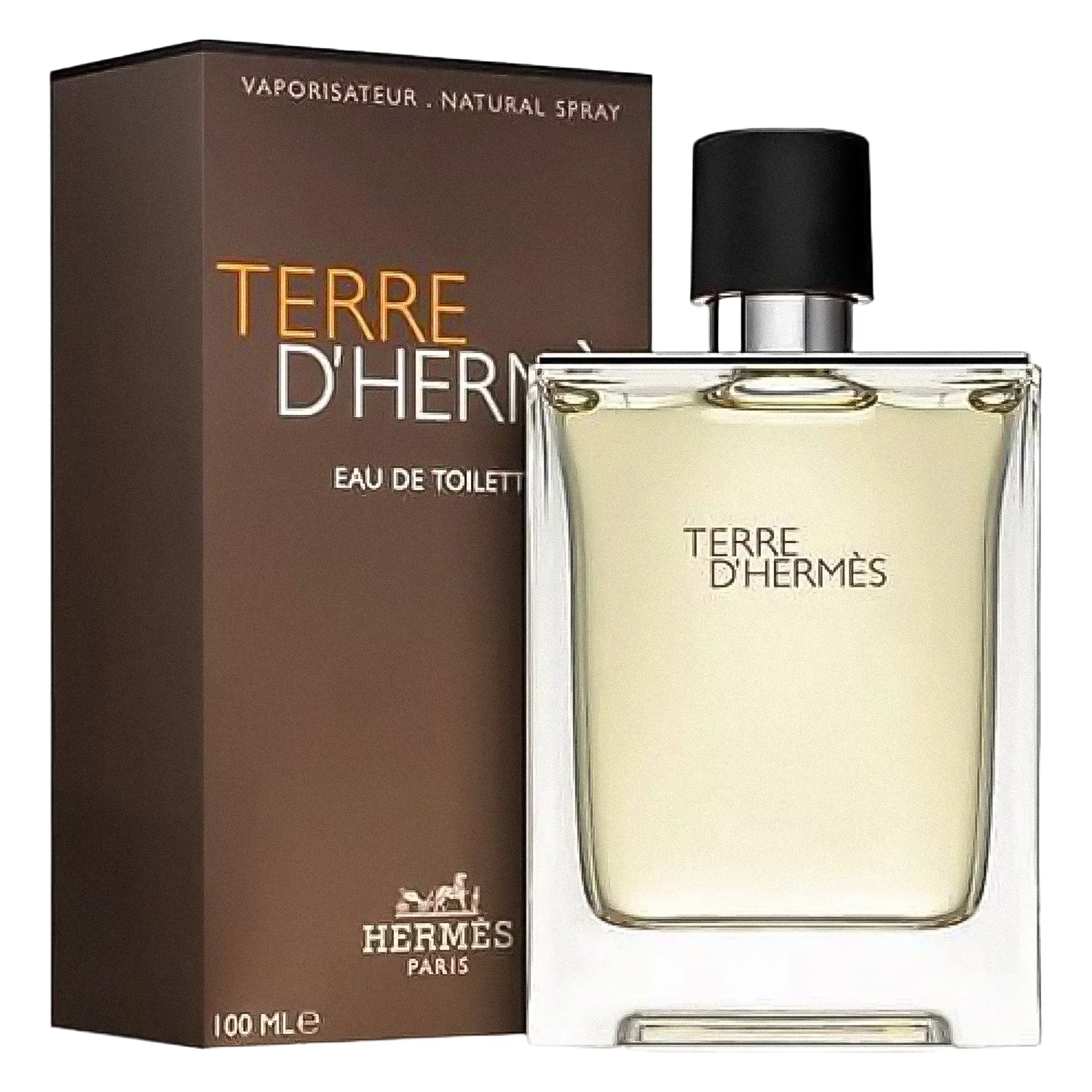 Perfume Hermès Terre d'Hermès Eau de Toilette Masculino 100ml